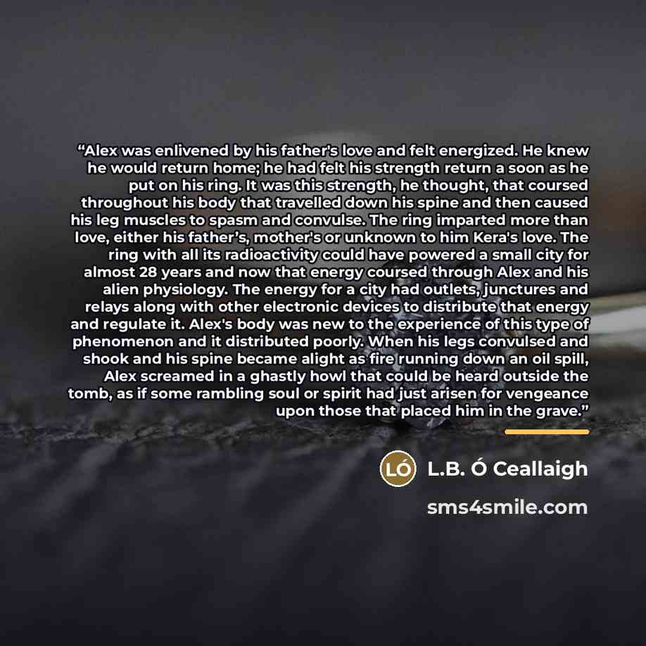 “Alex was enlivened by his father's love and felt energized. He knew he would return home; he had felt his strength return a soon as he put on his ring. It was this strength, he thought, that coursed throughout his body that travelled down his spine and then caused his leg muscles to spasm and…” quote by L.B. Ó Ceallaigh