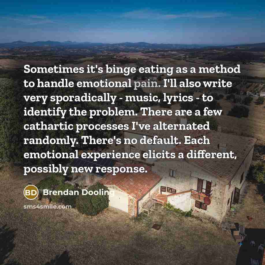 “Sometimes it's binge eating as a method to handle emotional pain. I'll also write very sporadically - music, lyrics - to identify the problem. There are a few cathartic processes I've alternated randomly. There's no default. Each emotional experience elicits a different, possibly new response.” quote by Brendan Dooling