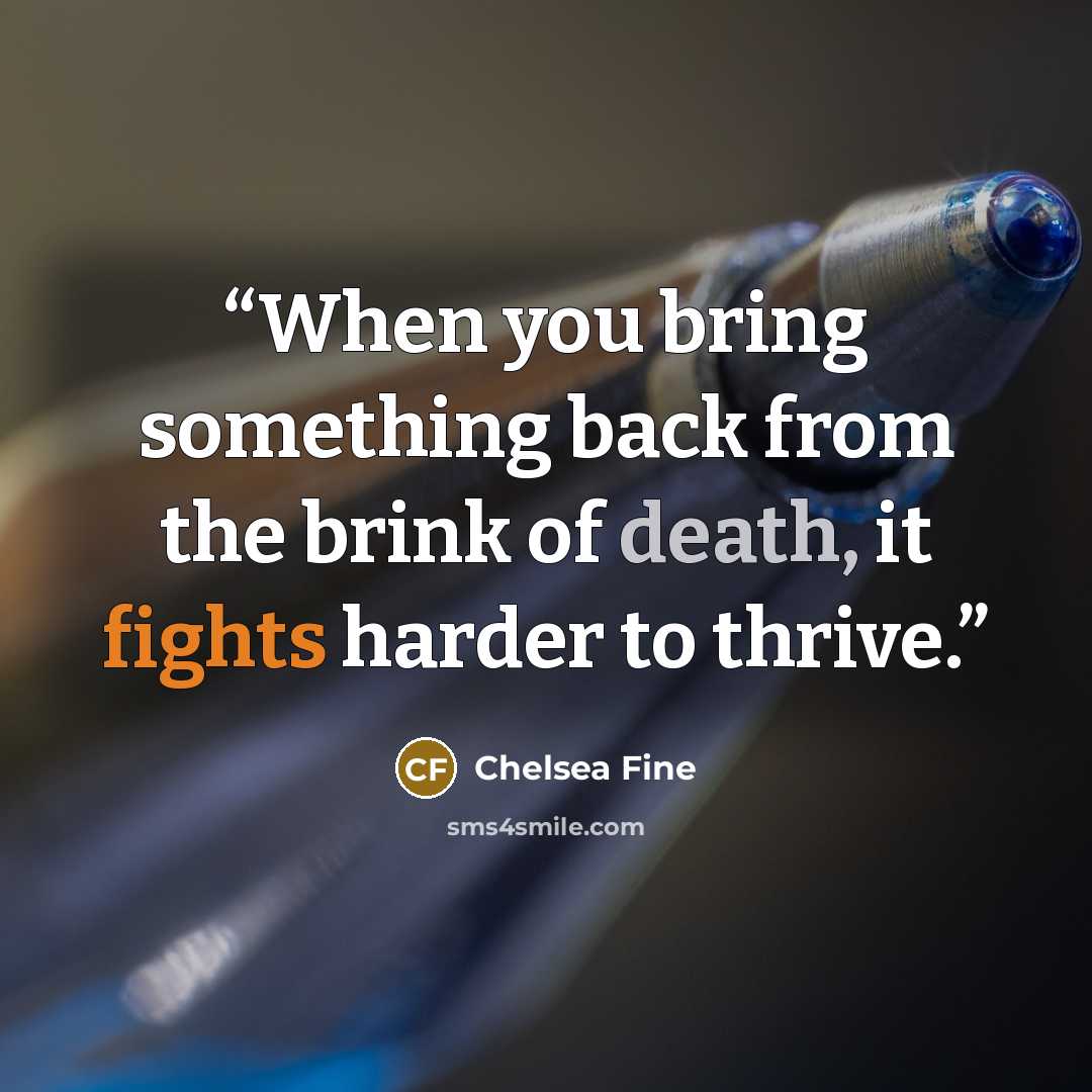 “When you bring something back from the brink of death, it fights harder to thrive.” quote by Chelsea Fine