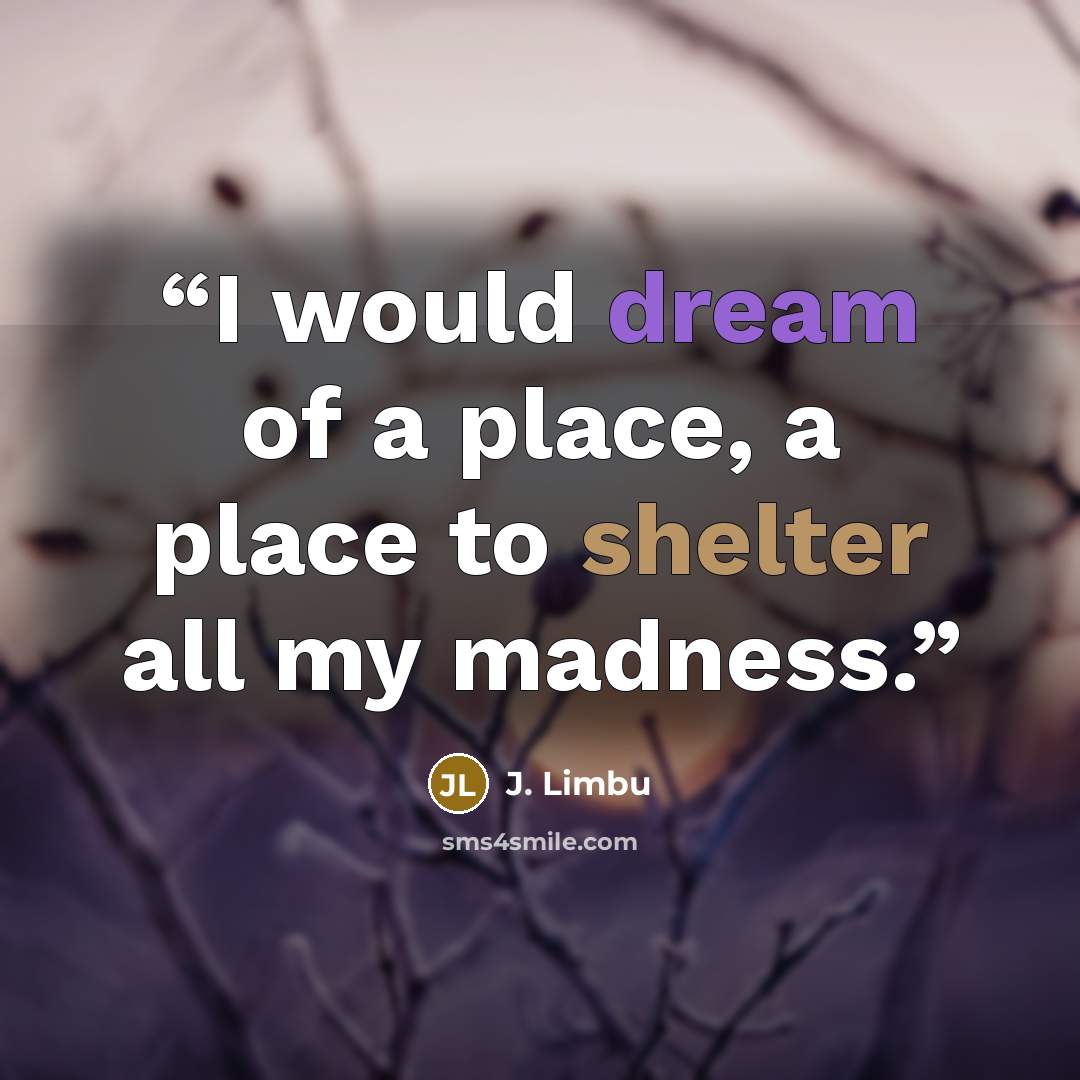 “I would dream of a place, a place to shelter all my madness.” quote by J. Limbu