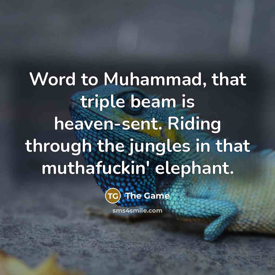 “Word to Muhammad, that triple beam is heaven-sent. Riding through the jungles in that muthafuckin' elephant.” quote by The Game