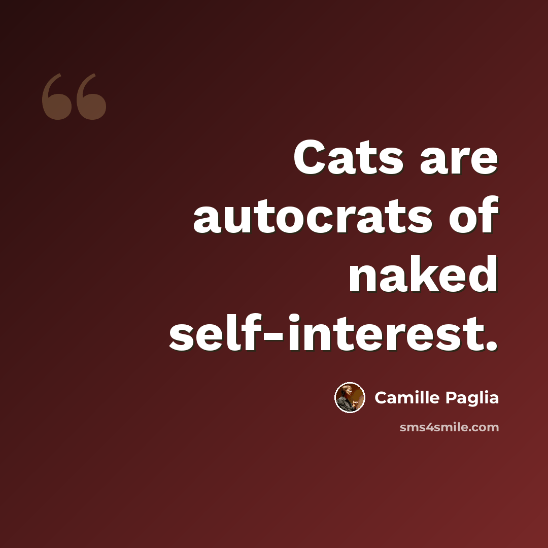 “Cats are autocrats of naked self-interest.” quote by Camille Paglia