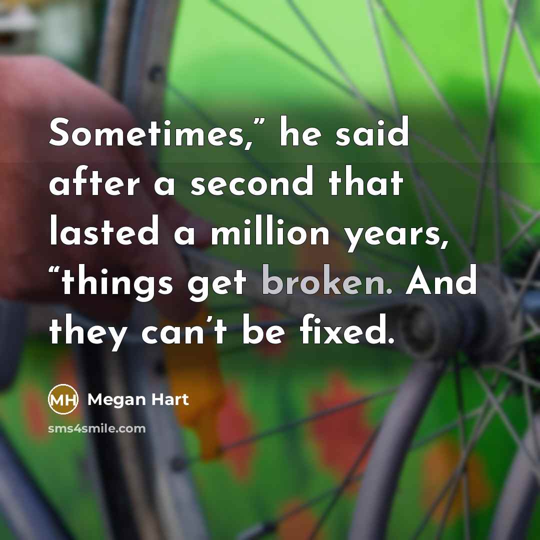 “Sometimes,” he said after a second that lasted a million years, “things get broken. And they can’t be fixed.” quote by Megan Hart