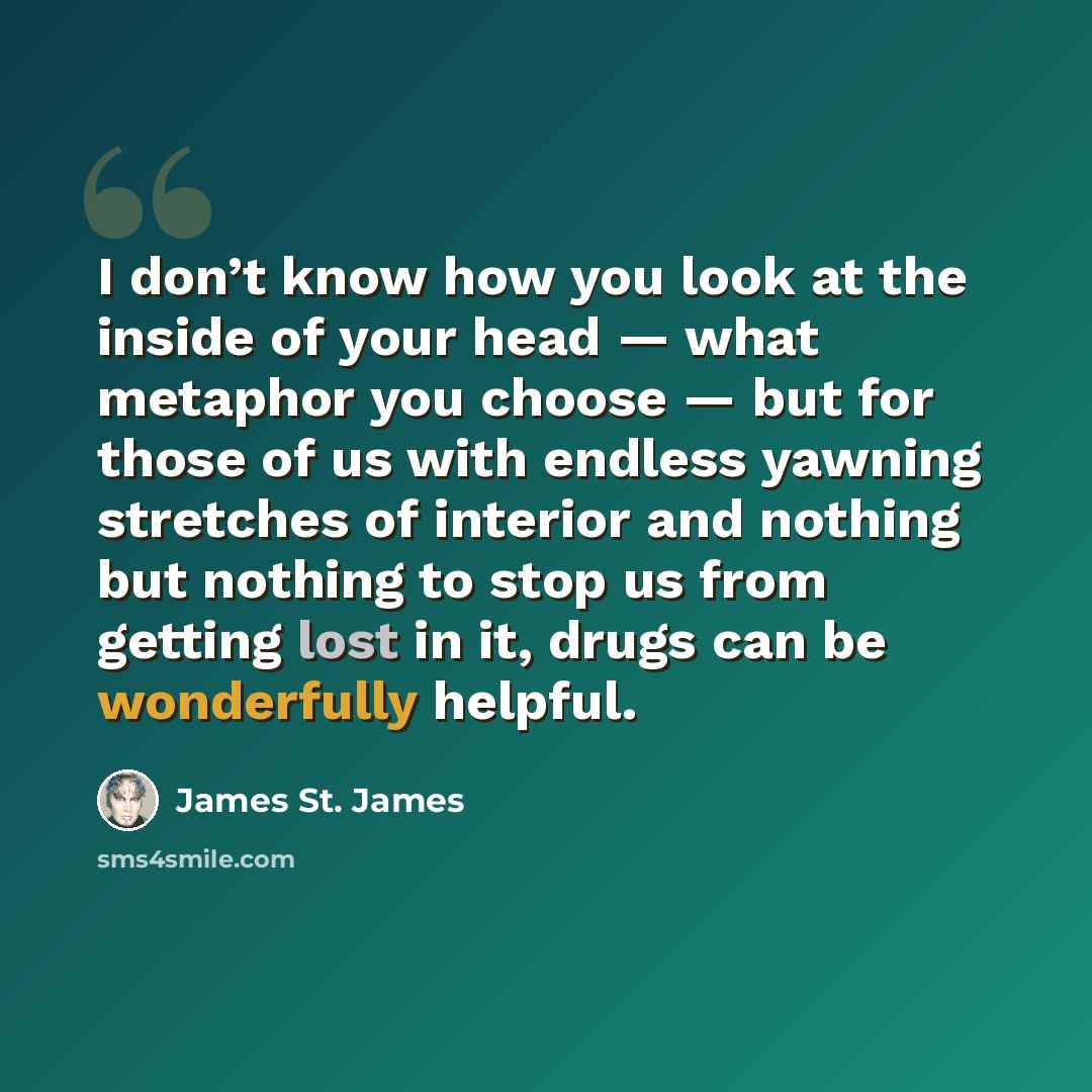 “I don’t know how you look at the inside of your head — what metaphor you choose — but for those of us with endless yawning stretches of interior and nothing but nothing to stop us from getting lost in it, drugs can be wonderfully helpful.” quote by James St. James