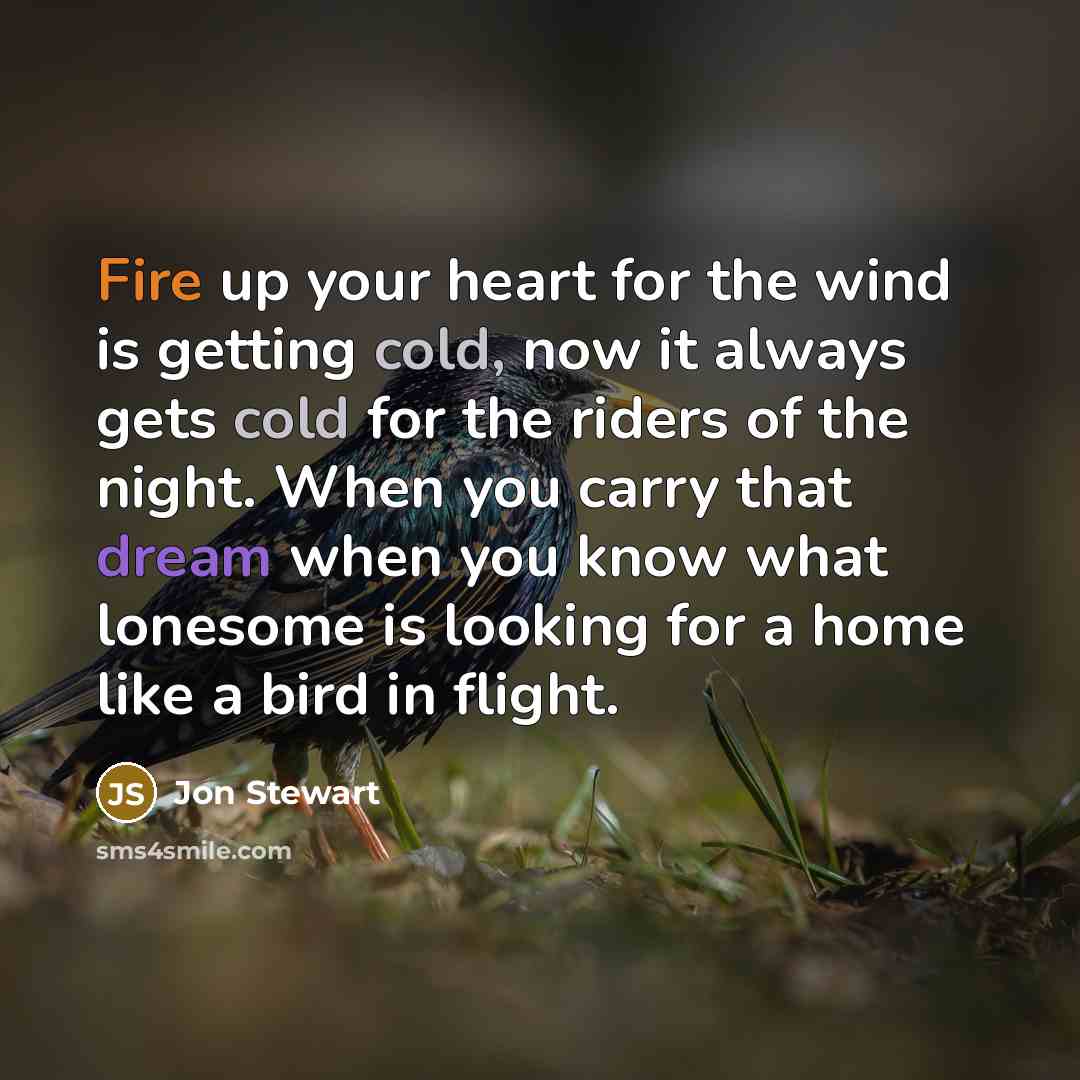 “Fire up your heart for the wind is getting cold, now it always gets cold for the riders of the night. When you carry that dream when you know what lonesome is looking for a home like a bird in flight.” quote by Jon Stewart