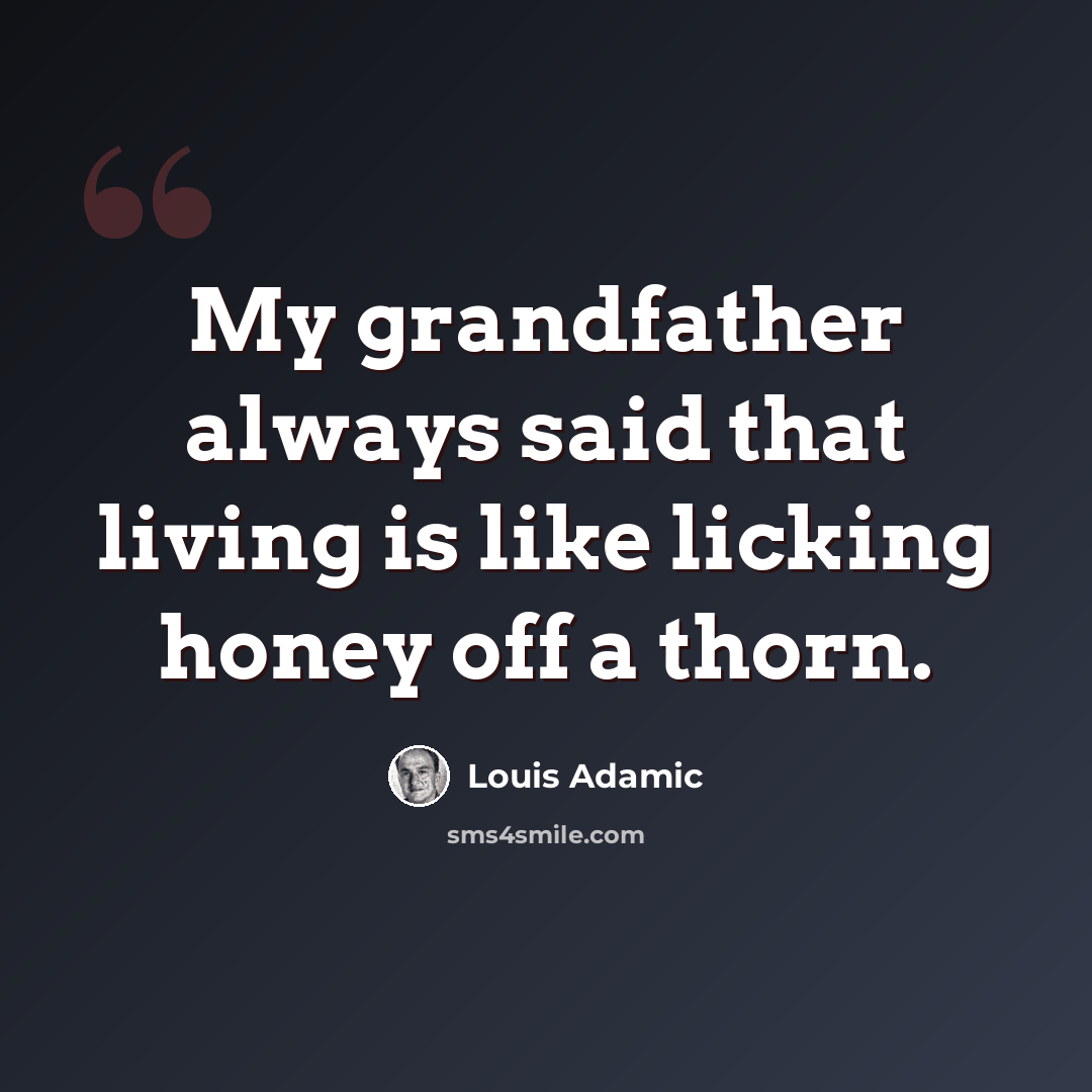 “My grandfather always said that living is like licking honey off a thorn.” quote by Louis Adamic