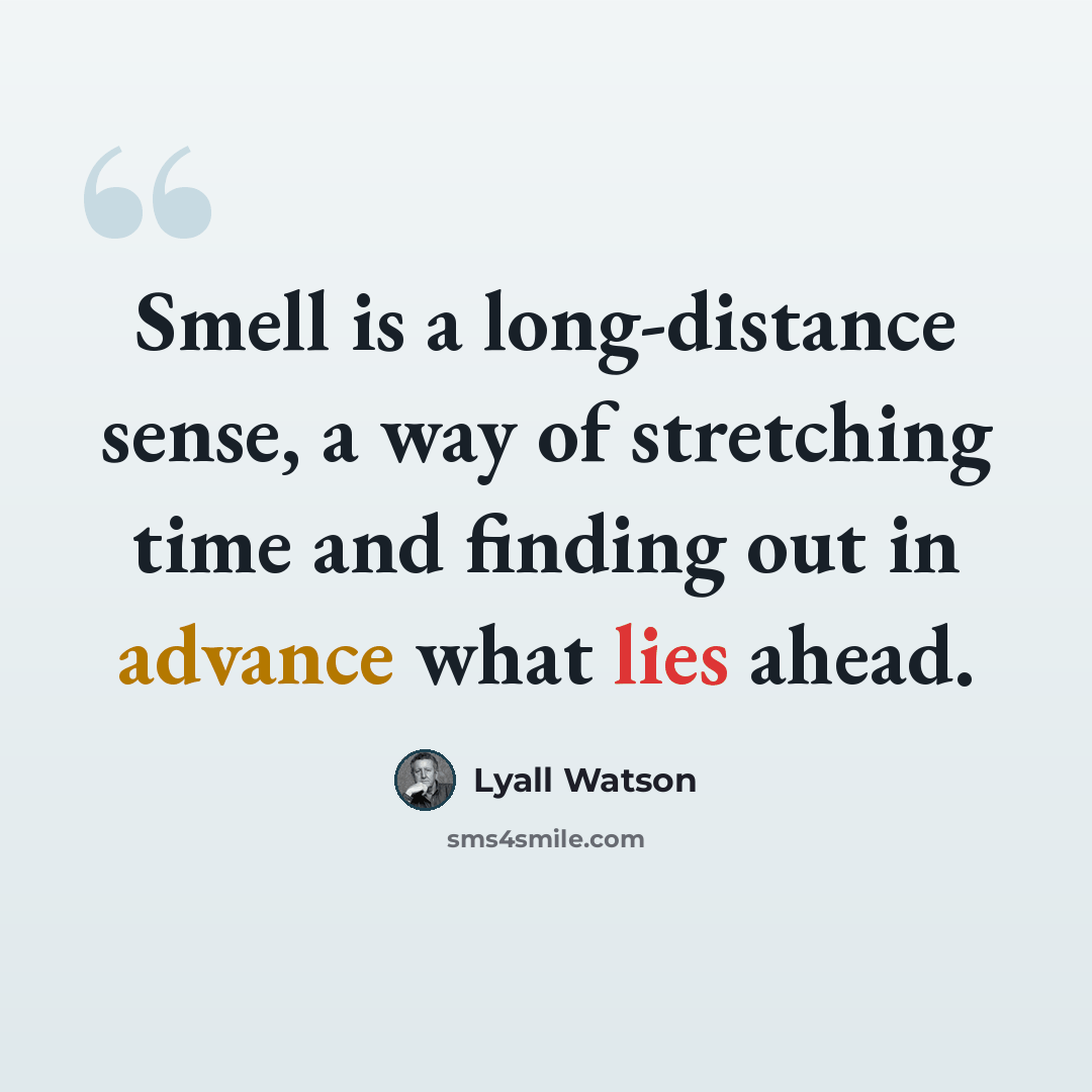 “Smell is a long-distance sense, a way of stretching time and finding out in advance what lies ahead.” quote by Lyall Watson