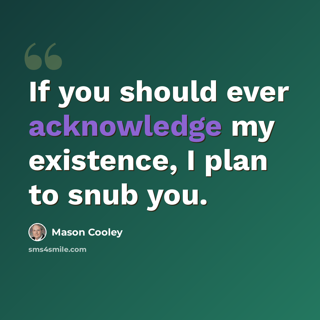 “If you should ever acknowledge my existence, I plan to snub you.” quote by Mason Cooley