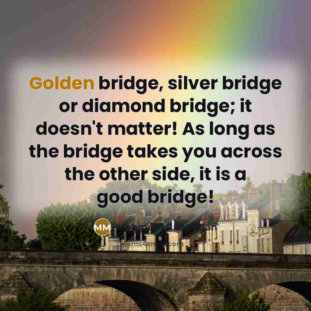 “Golden bridge, silver bridge or diamond bridge; it doesn't matter! As long as the bridge takes you across the other side, it is a good bridge!” quote by Mehmet Murat Ildan