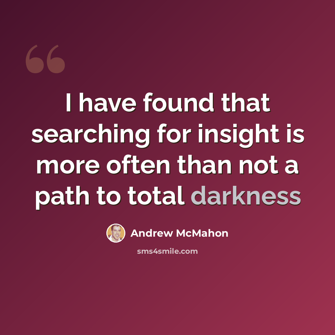 “I have found that searching for insight is more often than not a path to total darkness” quote by Andrew McMahon