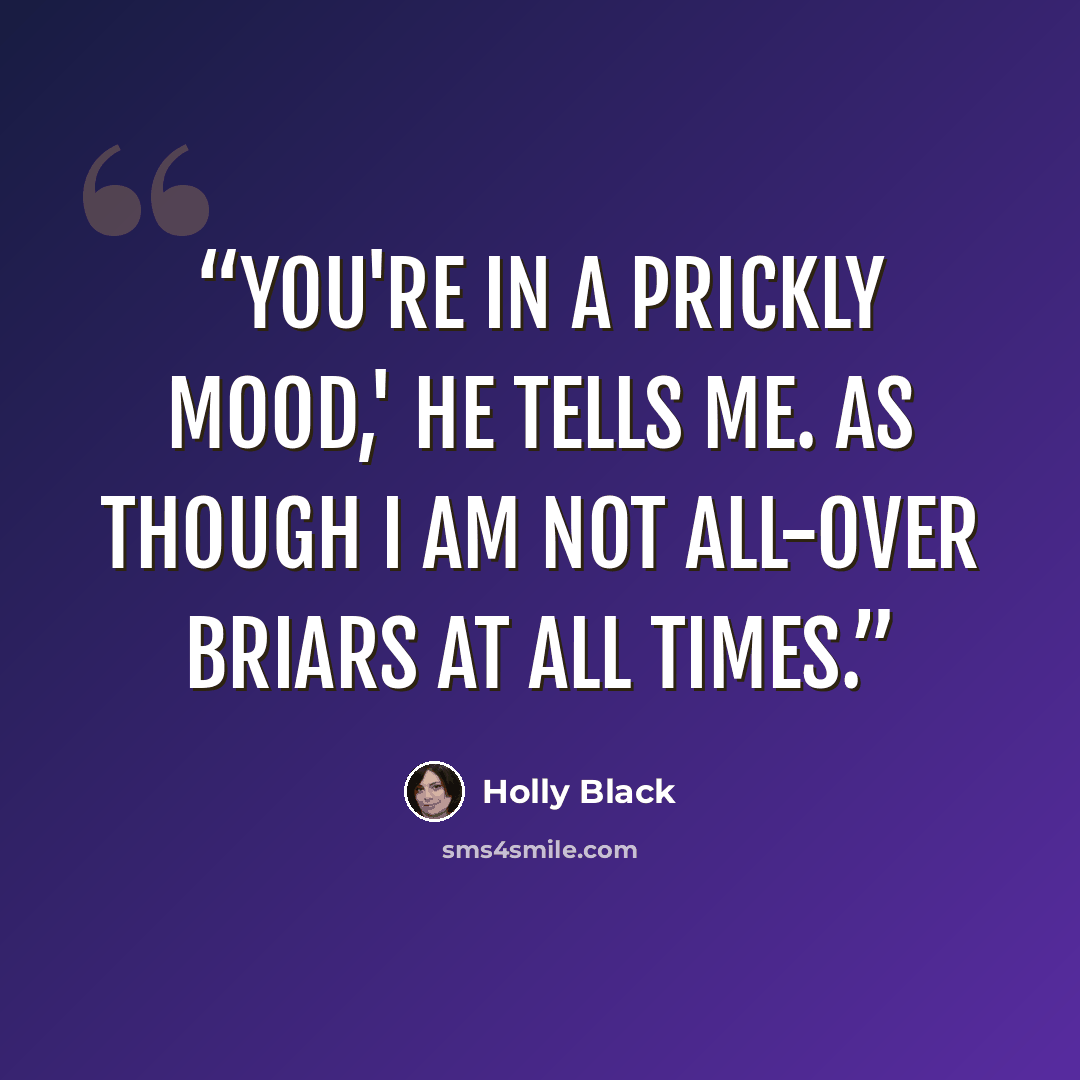 “You're in a prickly mood,' he tells me. As though I am not all-over briars at all times.” quote by Holly Black