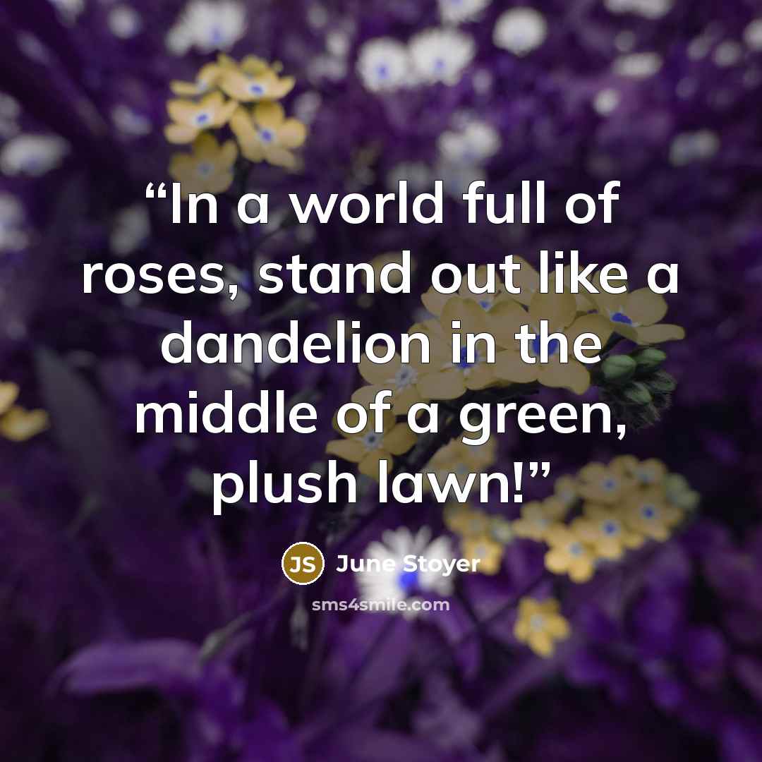 “In a world full of roses, stand out like a dandelion in the middle of a green, plush lawn!” quote by June Stoyer