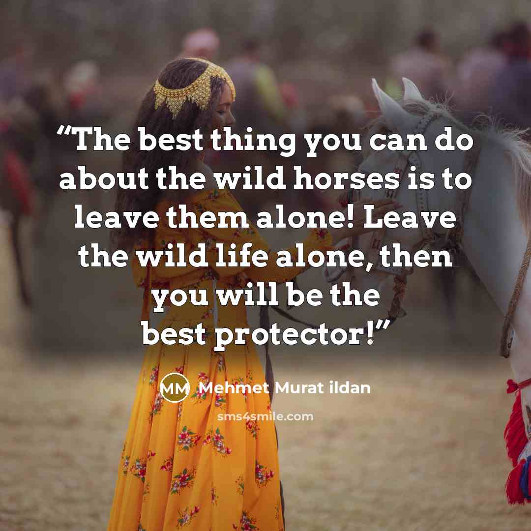 “The best thing you can do about the wild horses is to leave them alone! Leave the wild life alone, then you will be the best protector!” quote by Mehmet Murat ildan