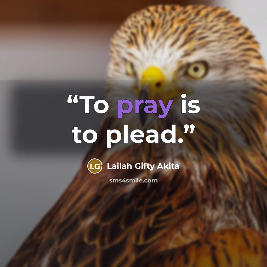 “To pray is to plead.” quote by Lailah Gifty Akita