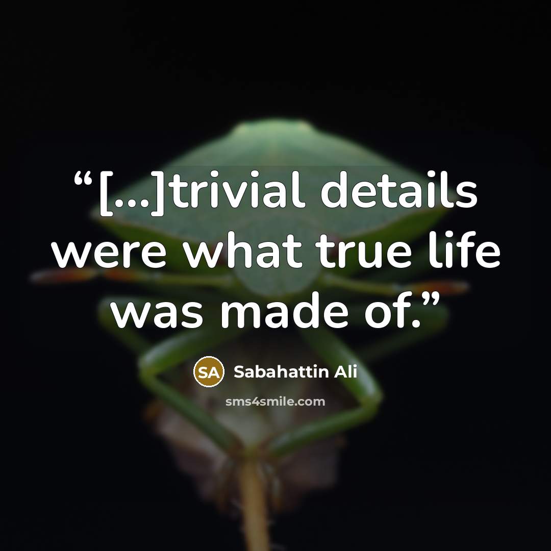 “[...]trivial details were what true life was made of.” quote by Sabahattin Ali