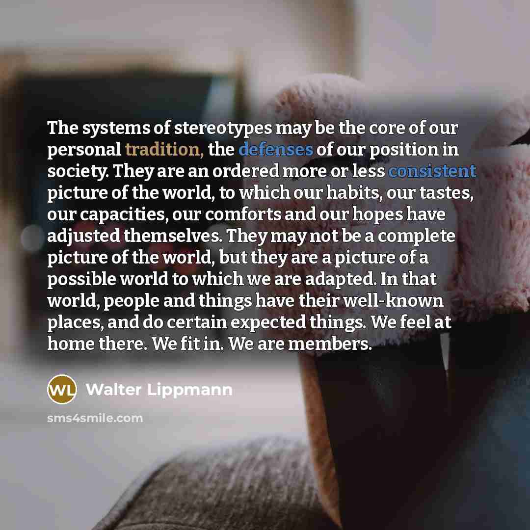 “The systems of stereotypes may be the core of our personal tradition, the defenses of our position in society. They are an ordered more or less consistent picture of the world, to which our habits, our tastes, our capacities, our comforts and our hopes have adjusted themselves. They may not be a…” quote by Walter Lippmann