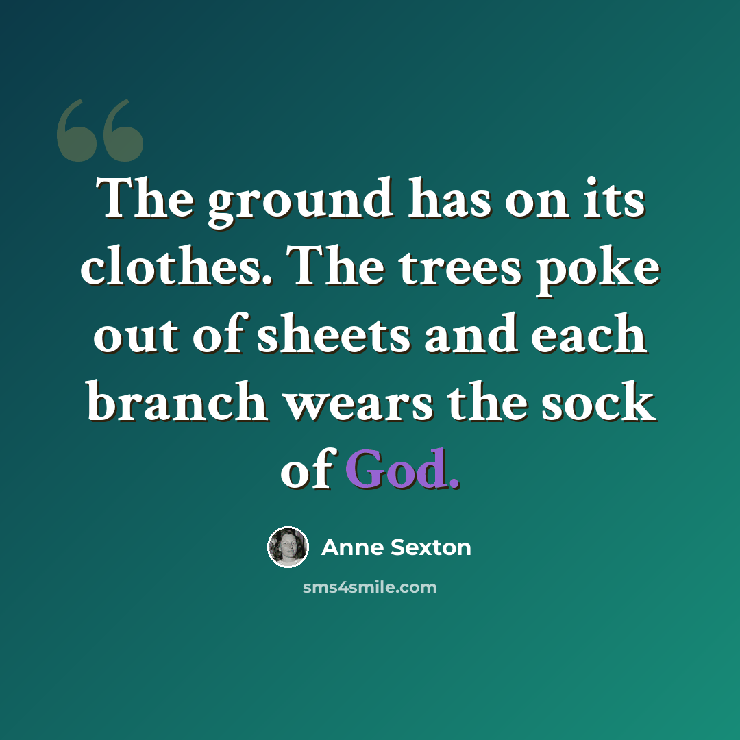 “The ground has on its clothes. The trees poke out of sheets and each branch wears the sock of God.” quote by Anne Sexton