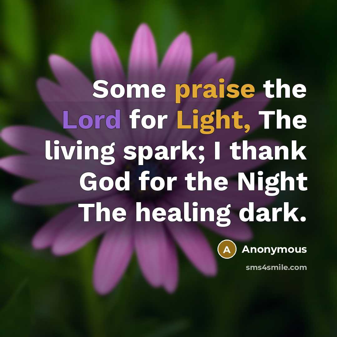 “Some praise the Lord for Light, The living spark; I thank God for the Night The healing dark.” quote by Anonymous