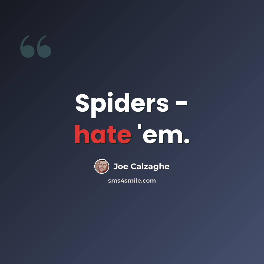 “Spiders - hate 'em.” quote by Joe Calzaghe