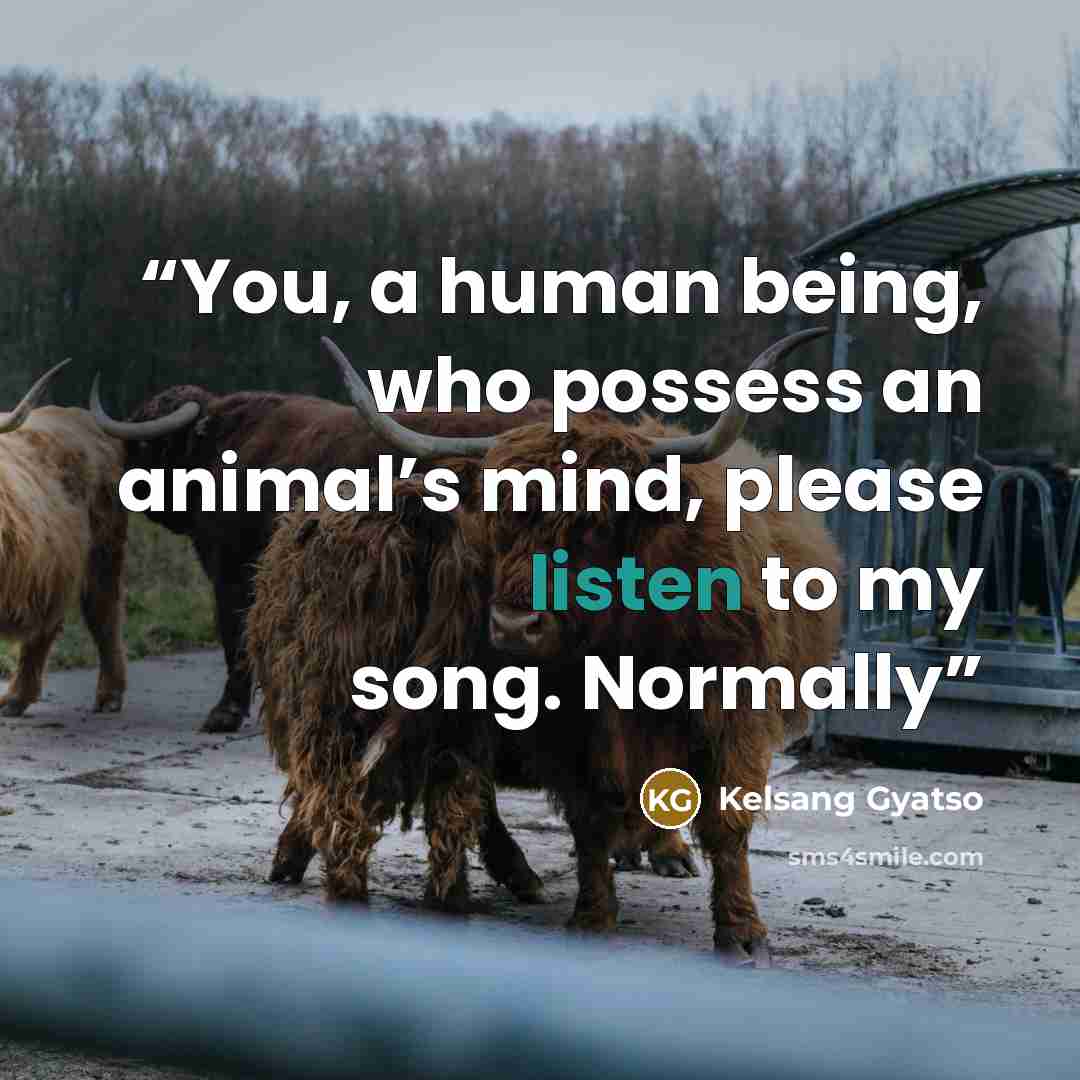 “You, a human being, who possess an animal’s mind, please listen to my song. Normally” quote by Kelsang Gyatso
