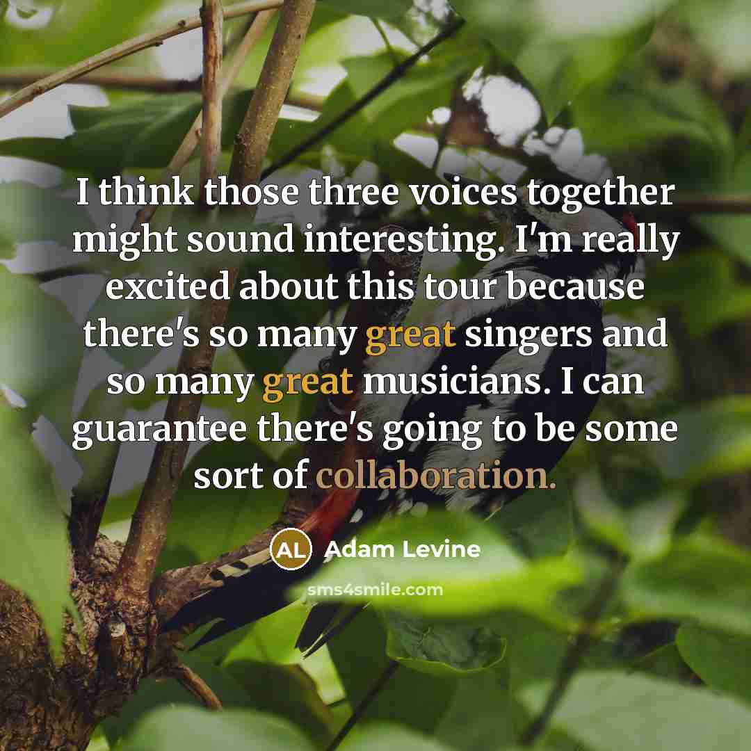 “I think those three voices together might sound interesting. I'm really excited about this tour because there's so many great singers and so many great musicians. I can guarantee there's going to be some sort of collaboration.” quote by Adam Levine