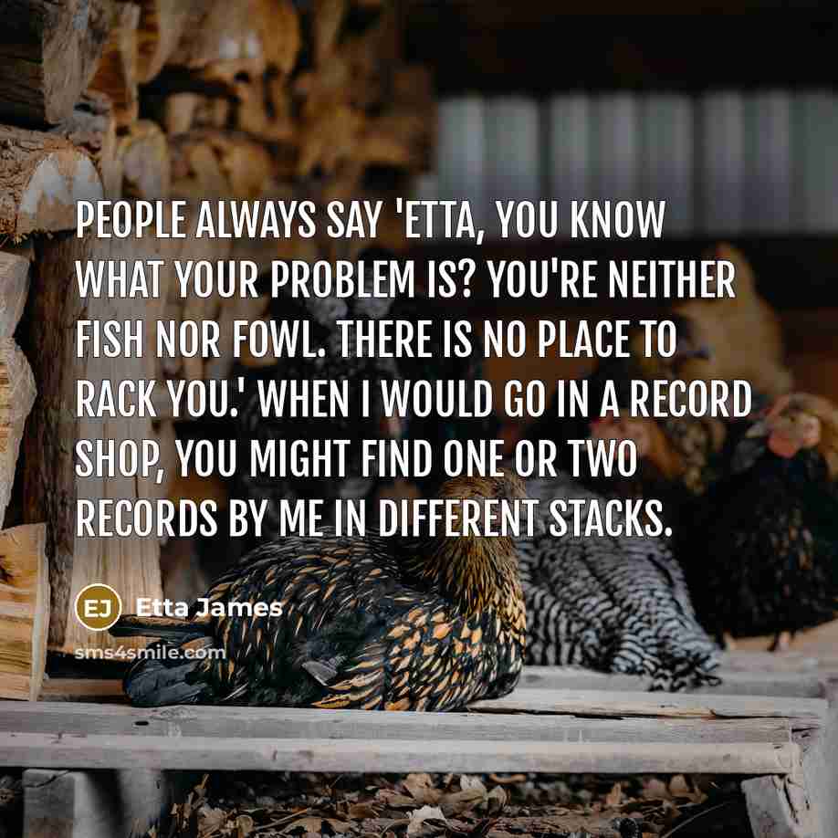 “People always say 'Etta, you know what your problem is? You're neither fish nor fowl. There is no place to rack you.' When I would go in a record shop, you might find one or two records by me in different stacks.” quote by Etta James