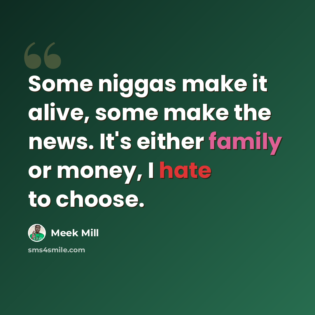 “Some niggas make it alive, some make the news. It's either family or money, I hate to choose.” quote by Meek Mill