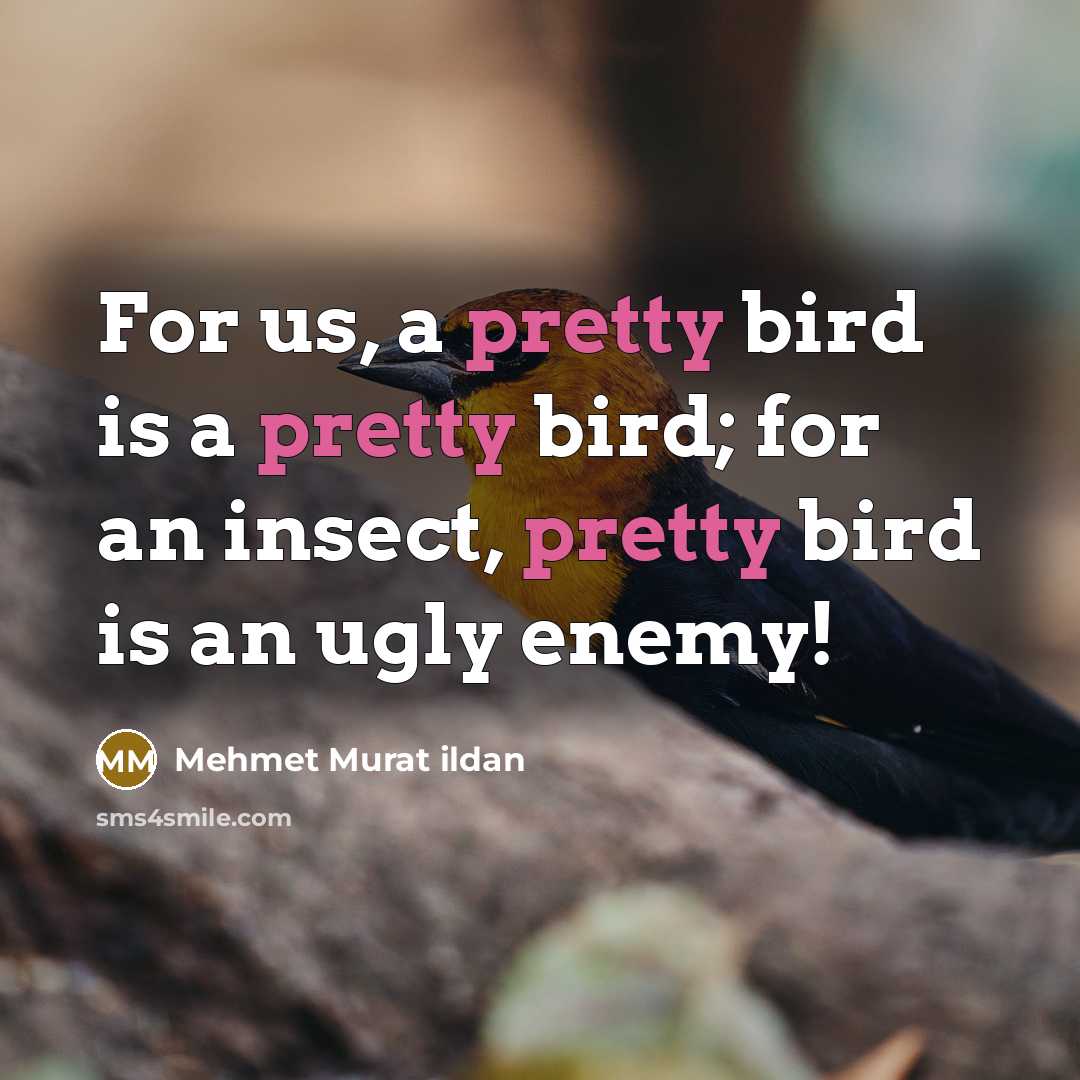 “For us, a pretty bird is a pretty bird; for an insect, pretty bird is an ugly enemy!” quote by Mehmet Murat Ildan