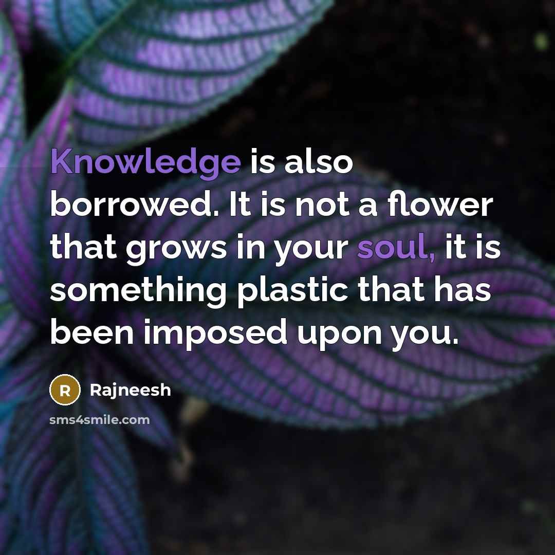 “Knowledge is also borrowed. It is not a flower that grows in your soul, it is something plastic that has been imposed upon you.” quote by Rajneesh