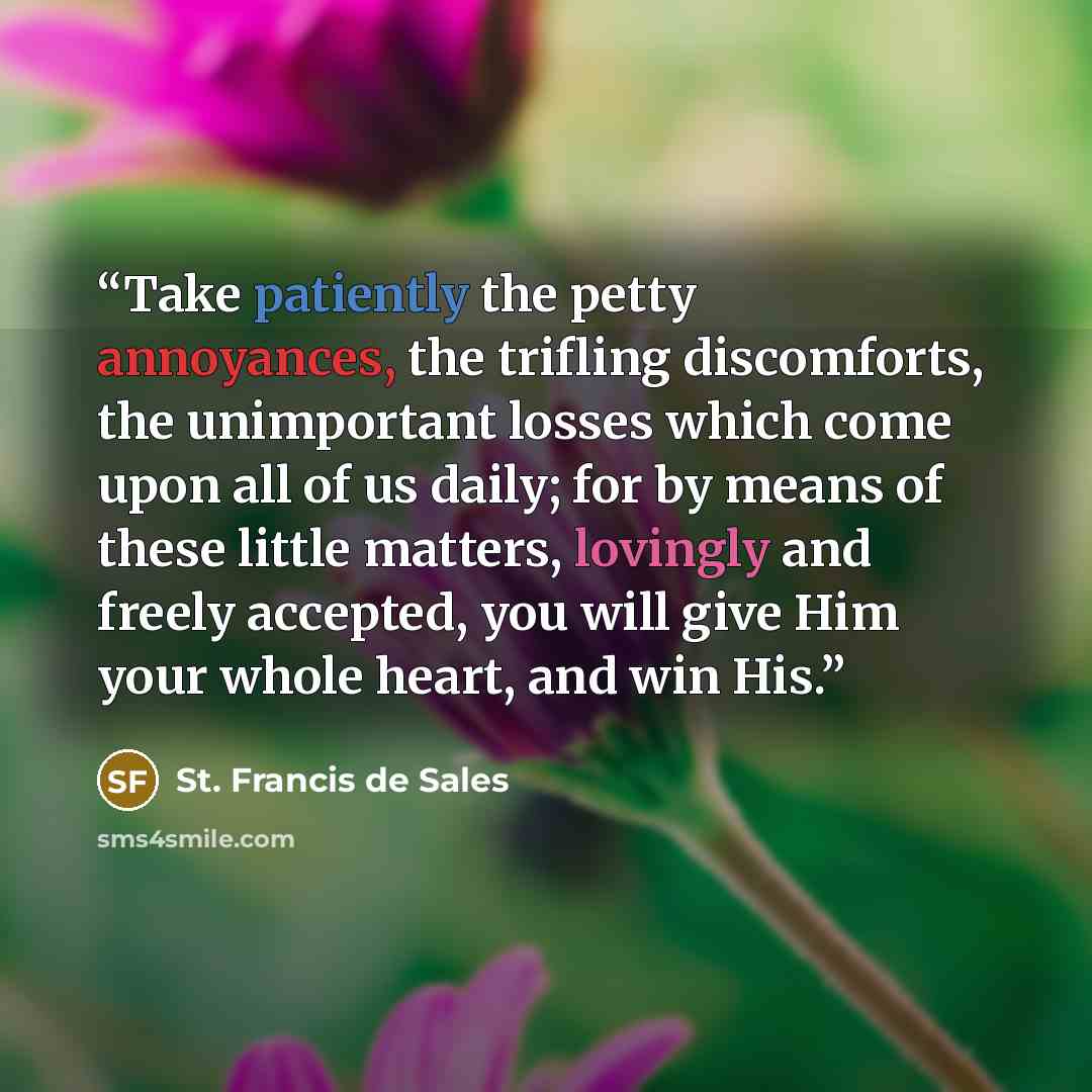“Take patiently the petty annoyances, the trifling discomforts, the unimportant losses which come upon all of us daily; for by means of these little matters, lovingly and freely accepted, you will give Him your whole heart, and win His.” quote by St. Francis de Sales