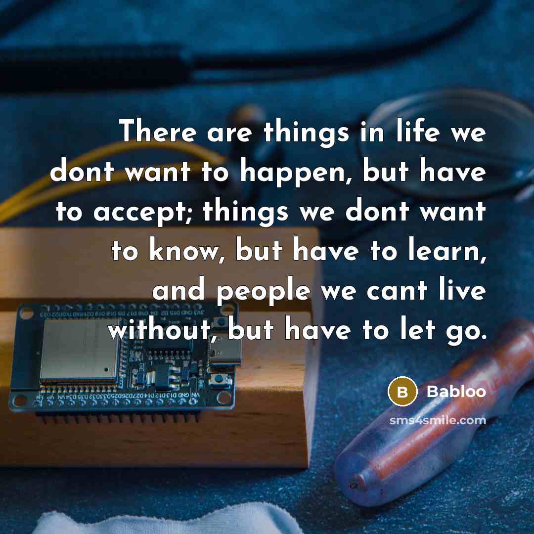 “There are things in life we dont want to happen, but have to accept; things we dont want to know, but have to learn, and people we cant live without, but have to let go.” quote by Babloo