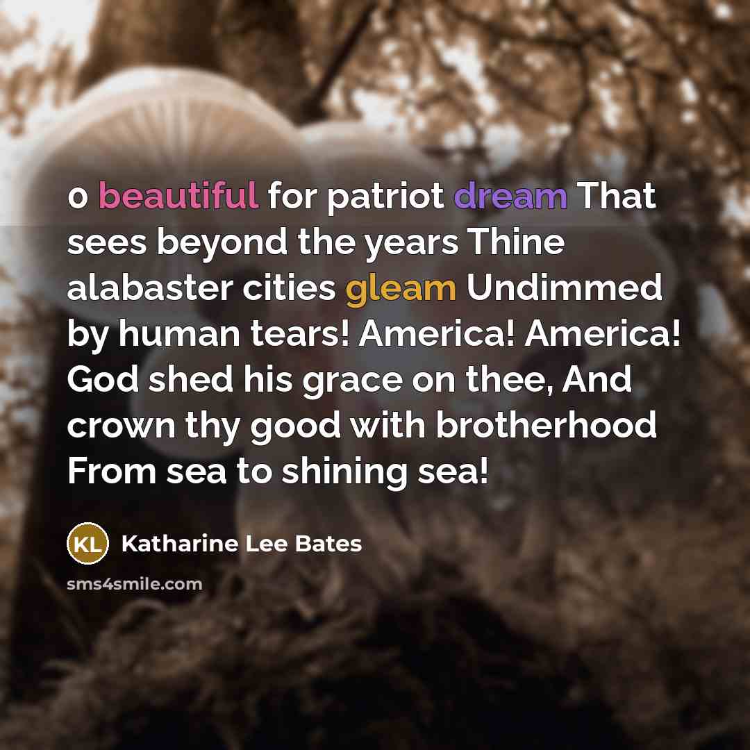 “0 beautiful for patriot dream That sees beyond the years Thine alabaster cities gleam Undimmed by human tears! America! America! God shed his grace on thee, And crown thy good with brotherhood From sea to shining sea!” quote by Katharine Lee Bates