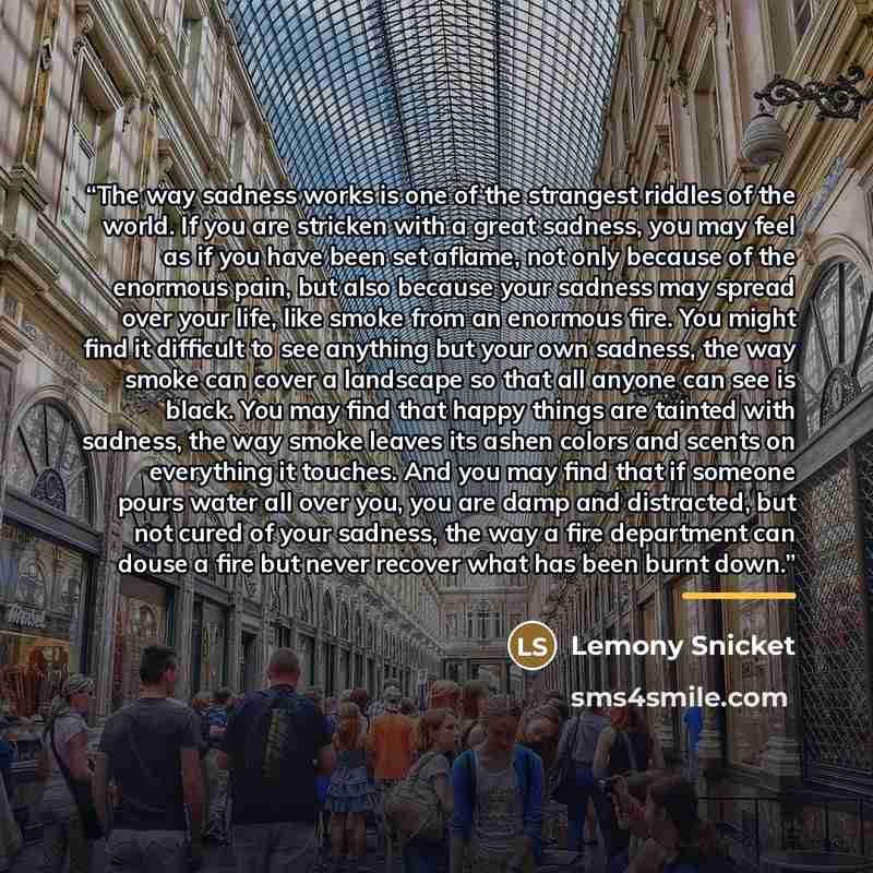 “The way sadness works is one of the strangest riddles of the world. If you are stricken with a great sadness, you may feel as if you have been set aflame, not only because of the enormous pain, but also because your sadness may spread over your life, like smoke from an enormous fire. You might…” quote by Lemony Snicket