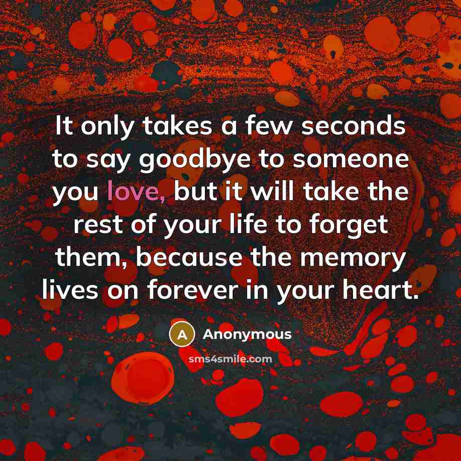 “It only takes a few seconds to say goodbye to someone you love, but it will take the rest of your life to forget them, because the memory lives on forever in your heart.” quote by Anonymous