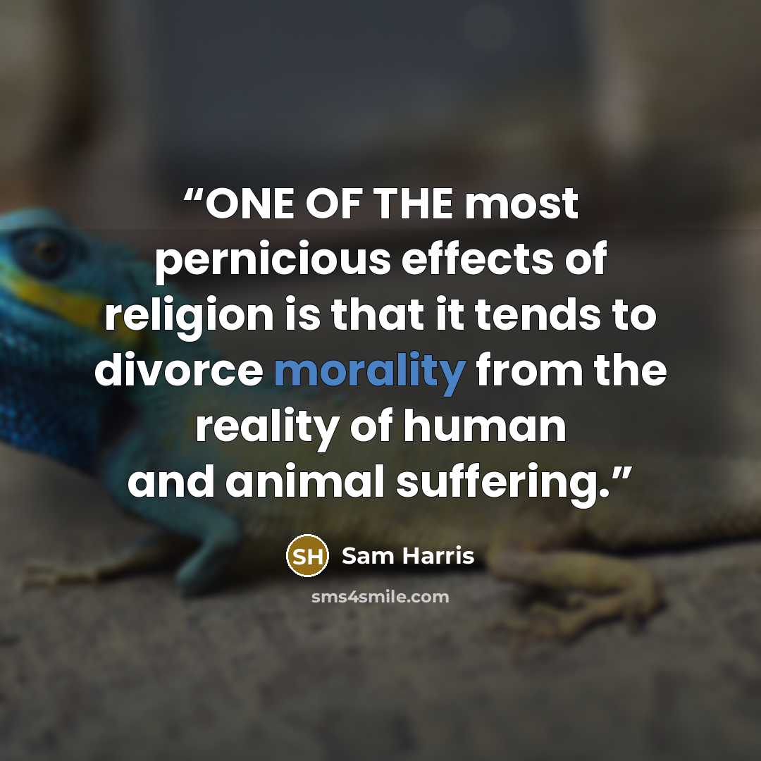 “ONE OF THE most pernicious effects of religion is that it tends to divorce morality from the reality of human and animal suffering.” quote by Sam Harris