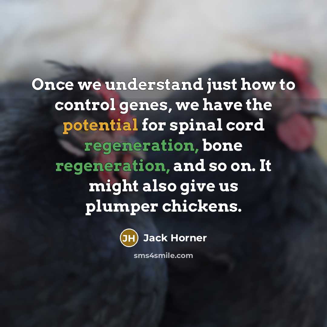 “Once we understand just how to control genes, we have the potential for spinal cord regeneration, bone regeneration, and so on. It might also give us plumper chickens.” quote by Jack Horner