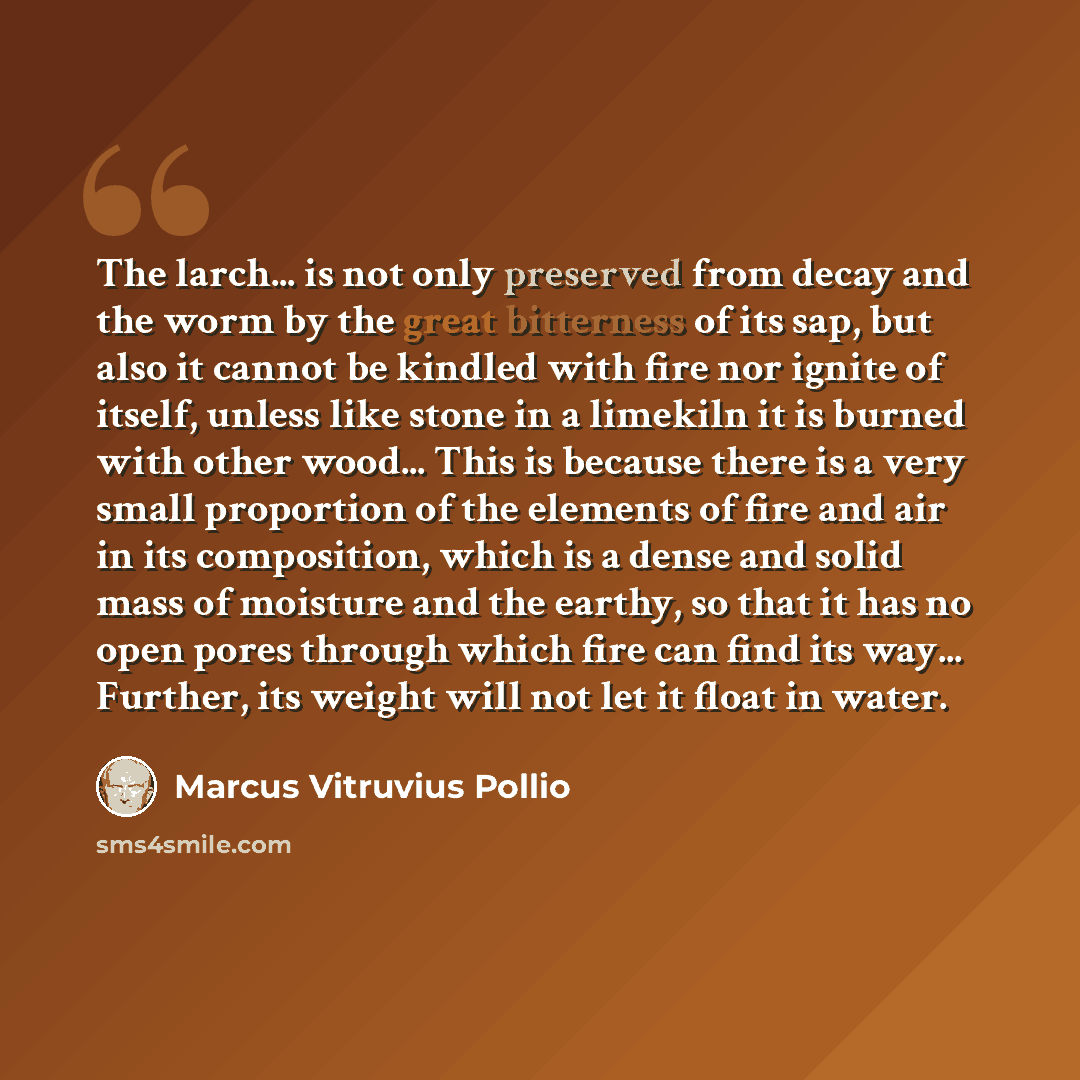 “The larch... is not only preserved from decay and the worm by the great bitterness of its sap, but also it cannot be kindled with fire nor ignite of itself, unless like stone in a limekiln it is burned with other wood... This is because there is a very small proportion of the elements of fire and…” quote by Marcus Vitruvius Pollio
