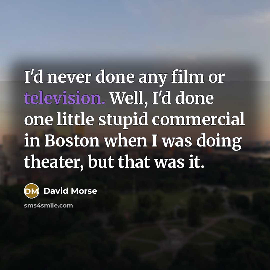 “I'd never done any film or television. Well, I'd done one little stupid commercial in Boston when I was doing theater, but that was it.” quote by David Morse