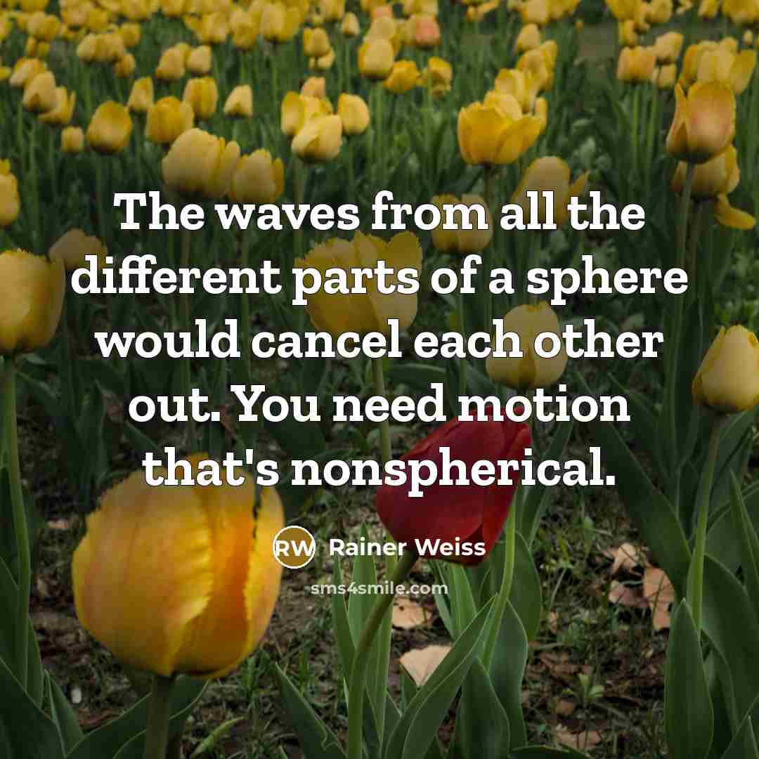 “The waves from all the different parts of a sphere would cancel each other out. You need motion that's nonspherical.” quote by Rainer Weiss