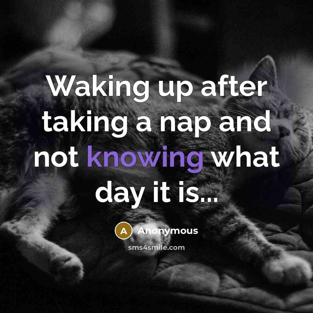 “Waking up after taking a nap and not knowing what day it is...” quote by Anonymous