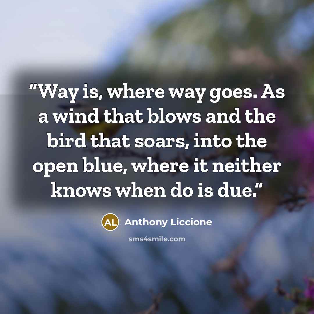 “Way is, where way goes. As a wind that blows and the bird that soars, into the open blue, where it neither knows when do is due.” quote by Anthony Liccione