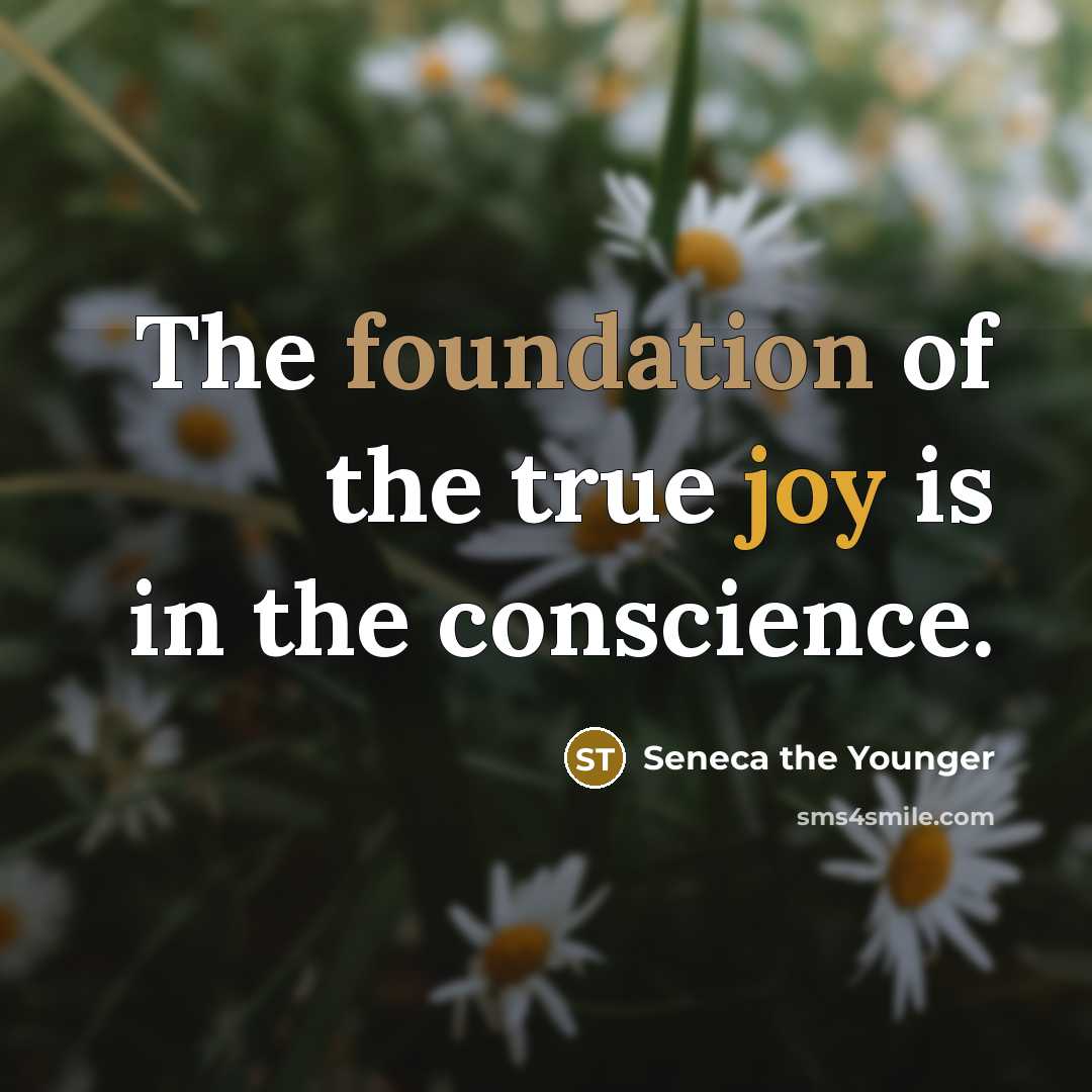 “The foundation of the true joy is in the conscience.” quote by Seneca the Younger