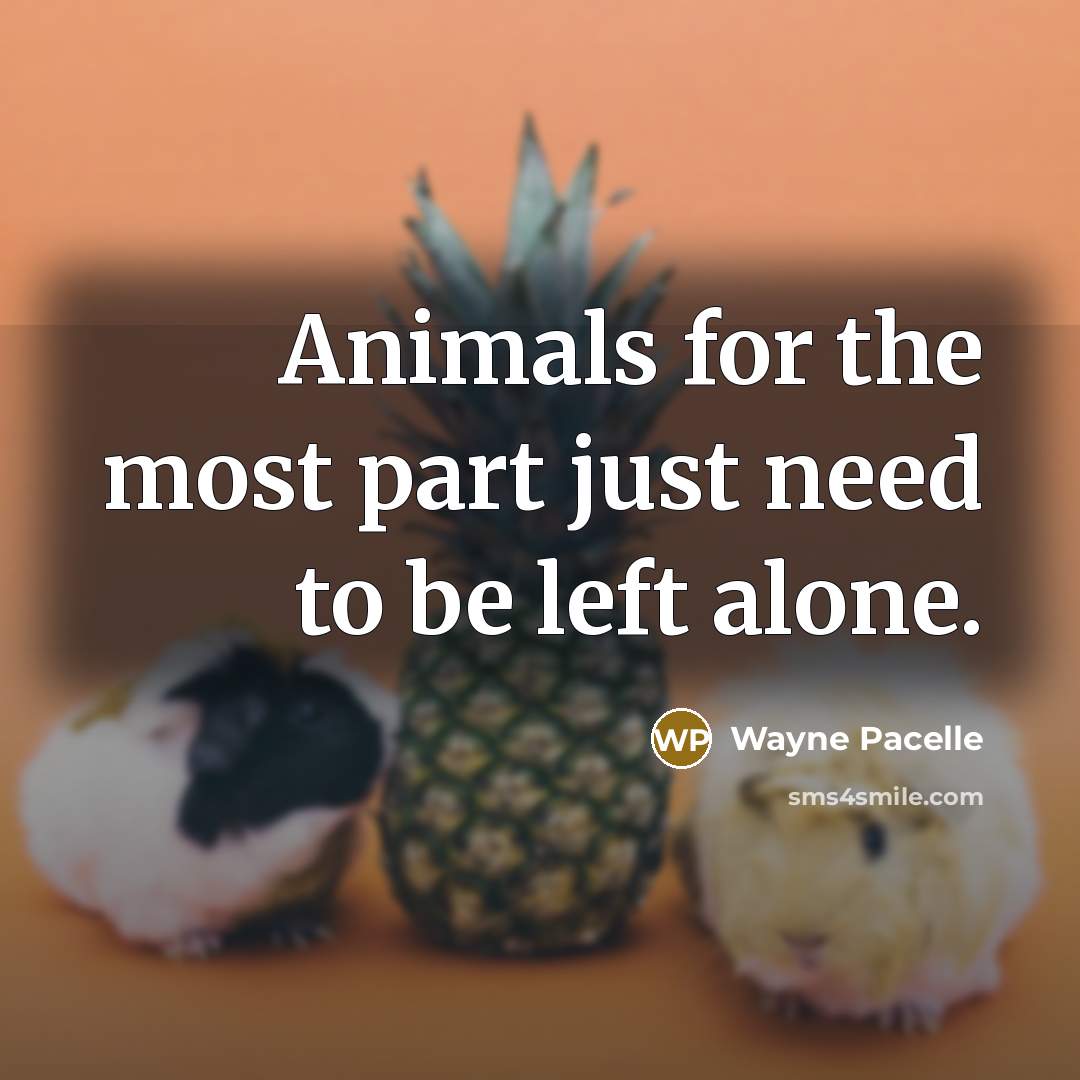 “Animals for the most part just need to be left alone.” quote by Wayne Pacelle