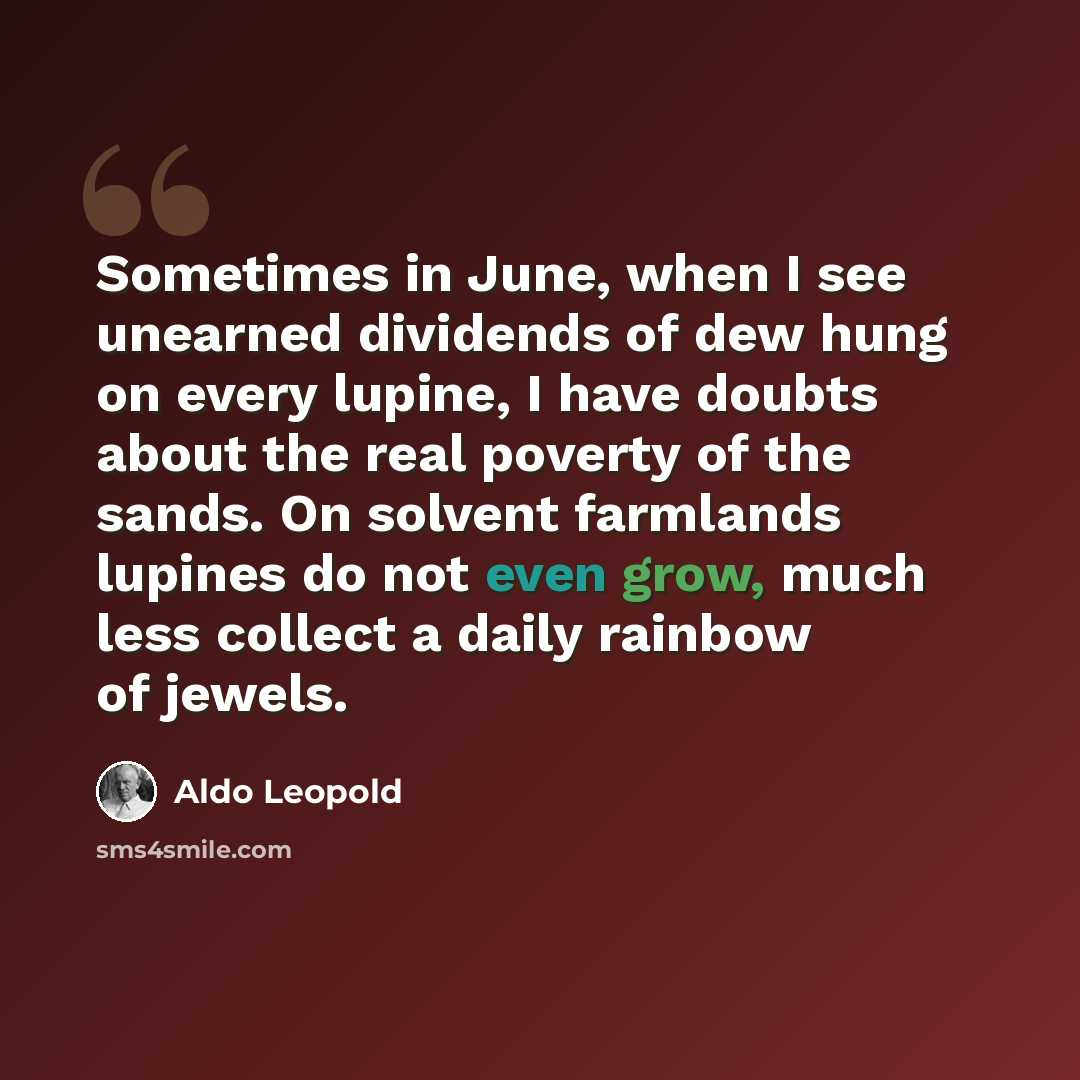 “Sometimes in June, when I see unearned dividends of dew hung on every lupine, I have doubts about the real poverty of the sands. On solvent farmlands lupines do not even grow, much less collect a daily rainbow of jewels.” quote by Aldo Leopold
