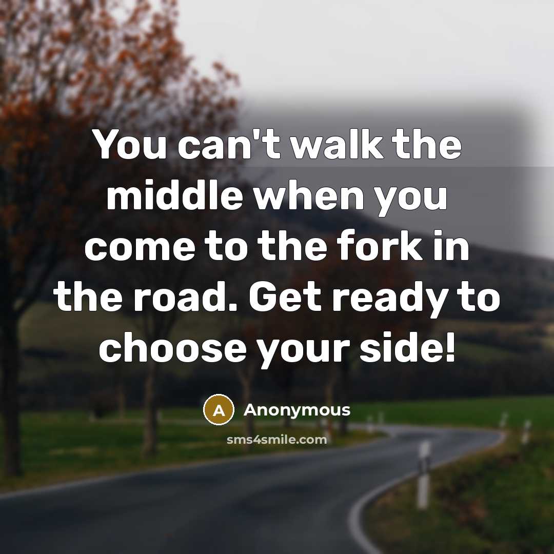 “You can't walk the middle when you come to the fork in the road. Get ready to choose your side!” quote by Anonymous