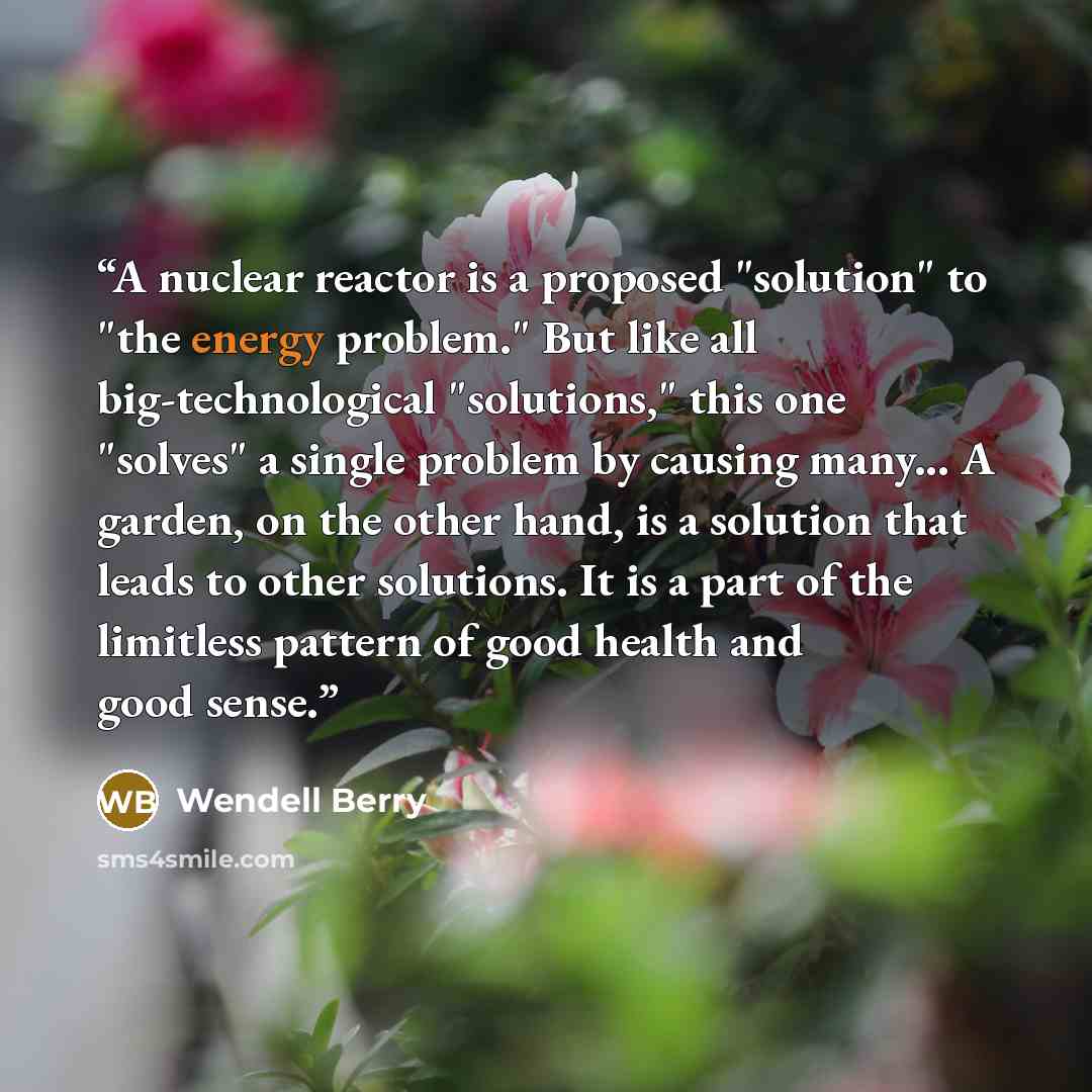 “A nuclear reactor is a proposed "solution" to "the energy problem." But like all big-technological "solutions," this one "solves" a single problem by causing many... A garden, on the other hand, is a solution that leads to other solutions. It is a part of the limitless pattern of good health and…” quote by Wendell Berry