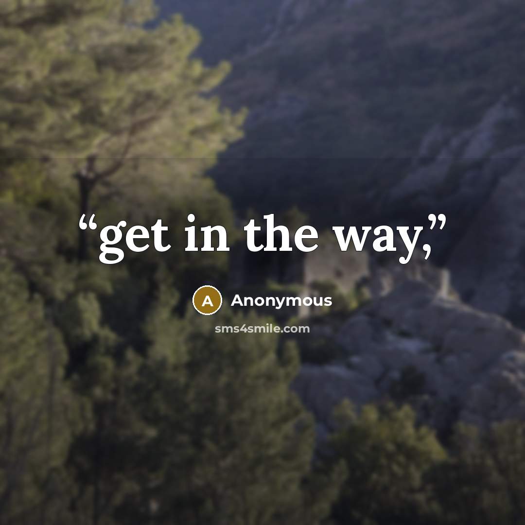 “get in the way,” quote by Anonymous