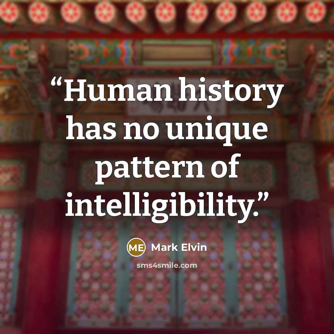 “Human history has no unique pattern of intelligibility.” quote by Mark Elvin