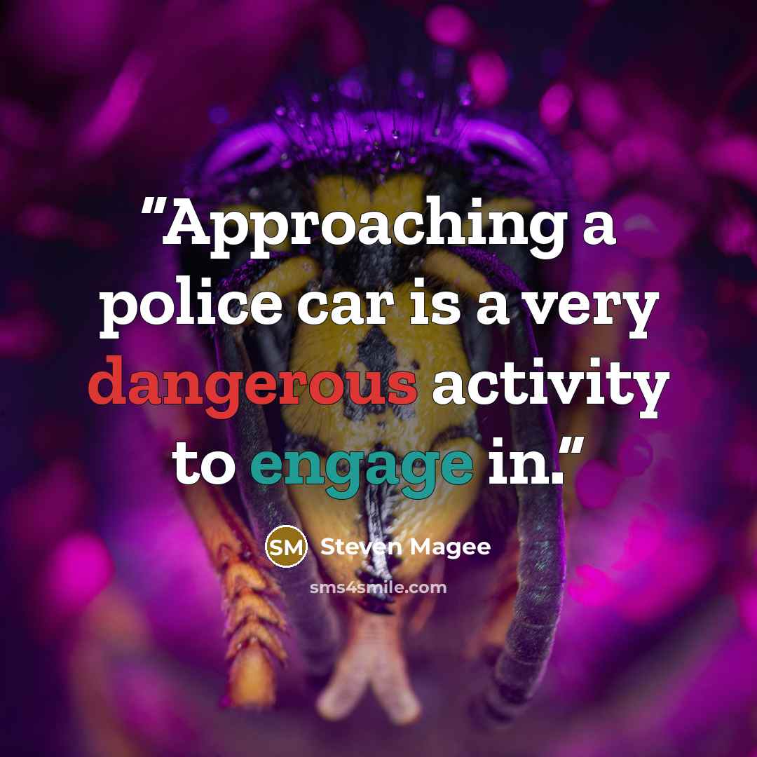 “Approaching a police car is a very dangerous activity to engage in.” quote by Steven Magee