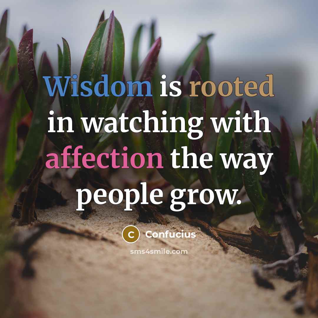 “Wisdom is rooted in watching with affection the way people grow.” quote by Confucius